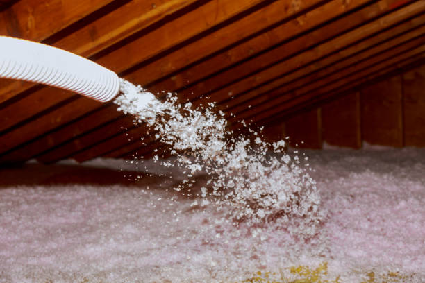 Best Energy Efficiency Insulation in Erlanger, KY