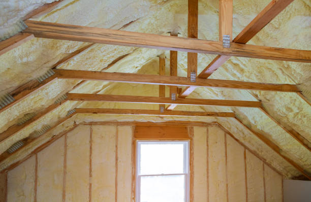 Best Eco-Friendly Insulation in Erlanger, KY