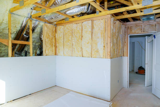 Best Specialized Insulation Services in Erlanger, KY